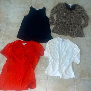 Women's Small Petite 4-Piece Blouse Bundle​